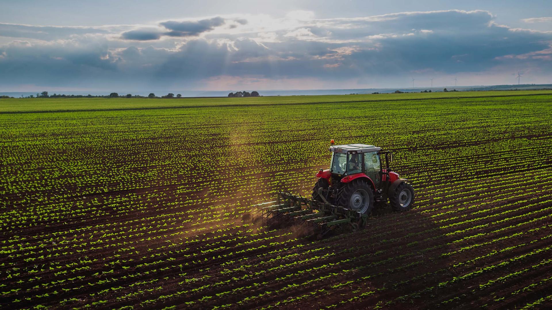 Farm Professional Indemnity Insurance: Protecting Agricultural Professionals from Liability Claims