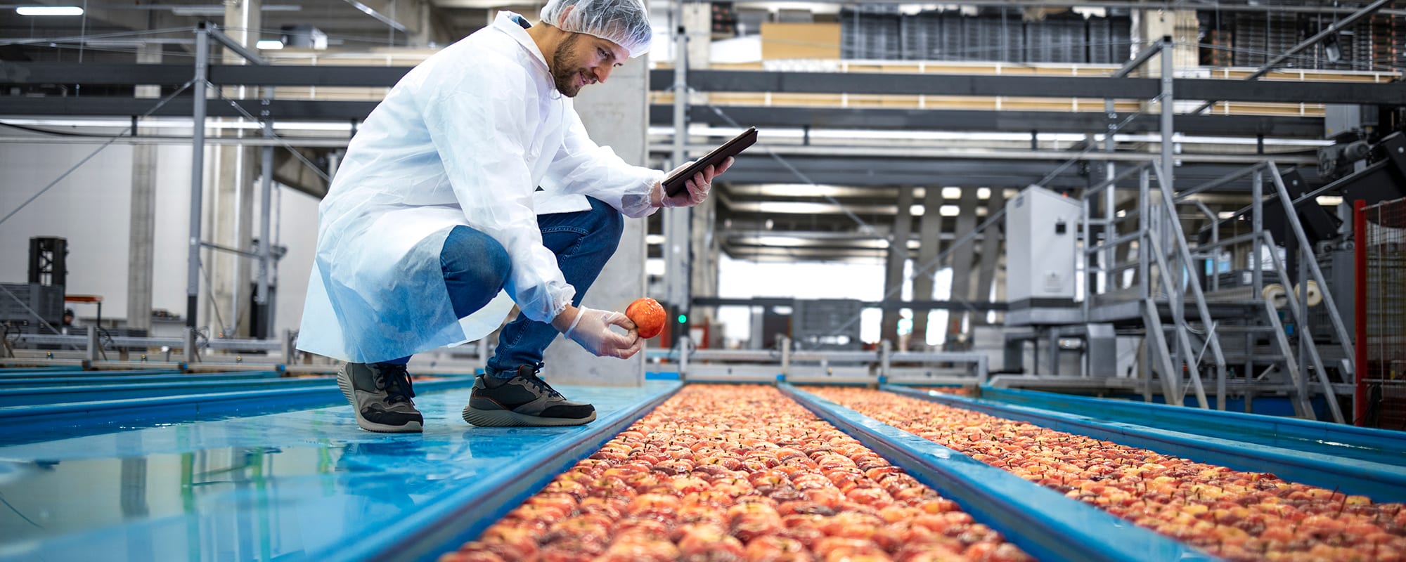 Comprehensive Insurance Guide for Sausage and Prepared Meat Products Manufacturers